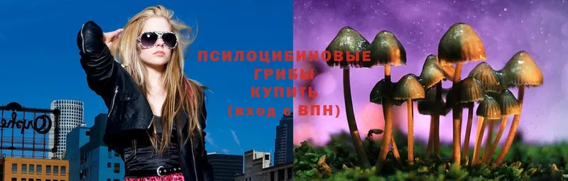 Галлюциногенные грибы Psilocybe  MEGA рабочий сайт  Коркино 